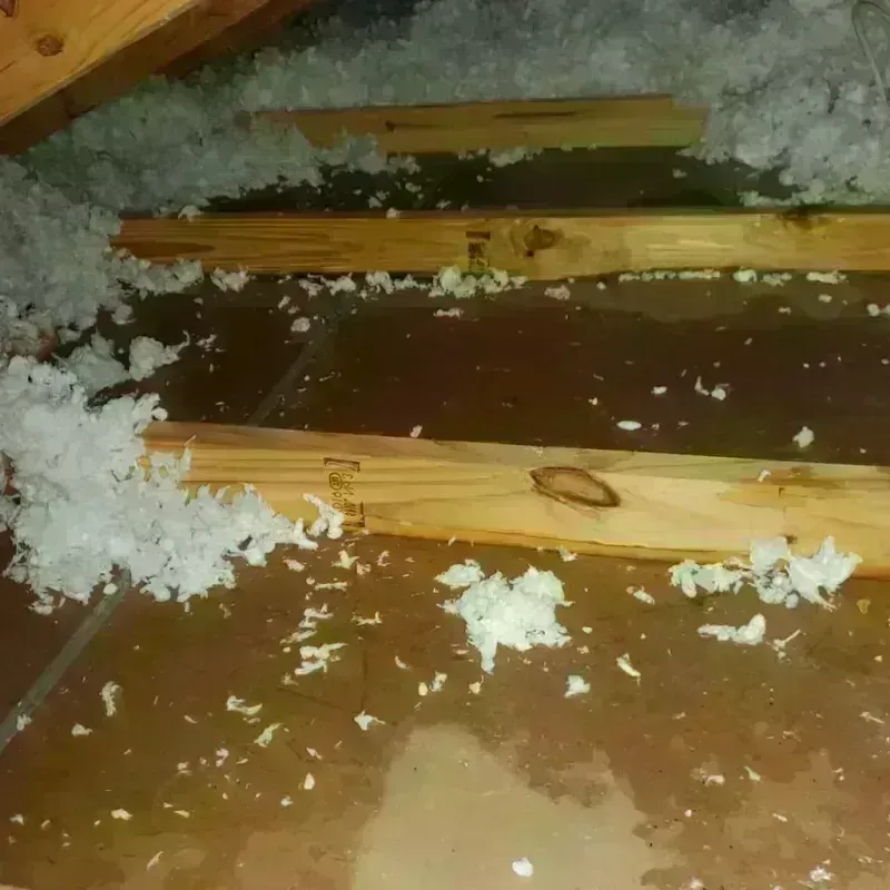 Attic Water Damage in Casa de Oro-Mount Helix, CA